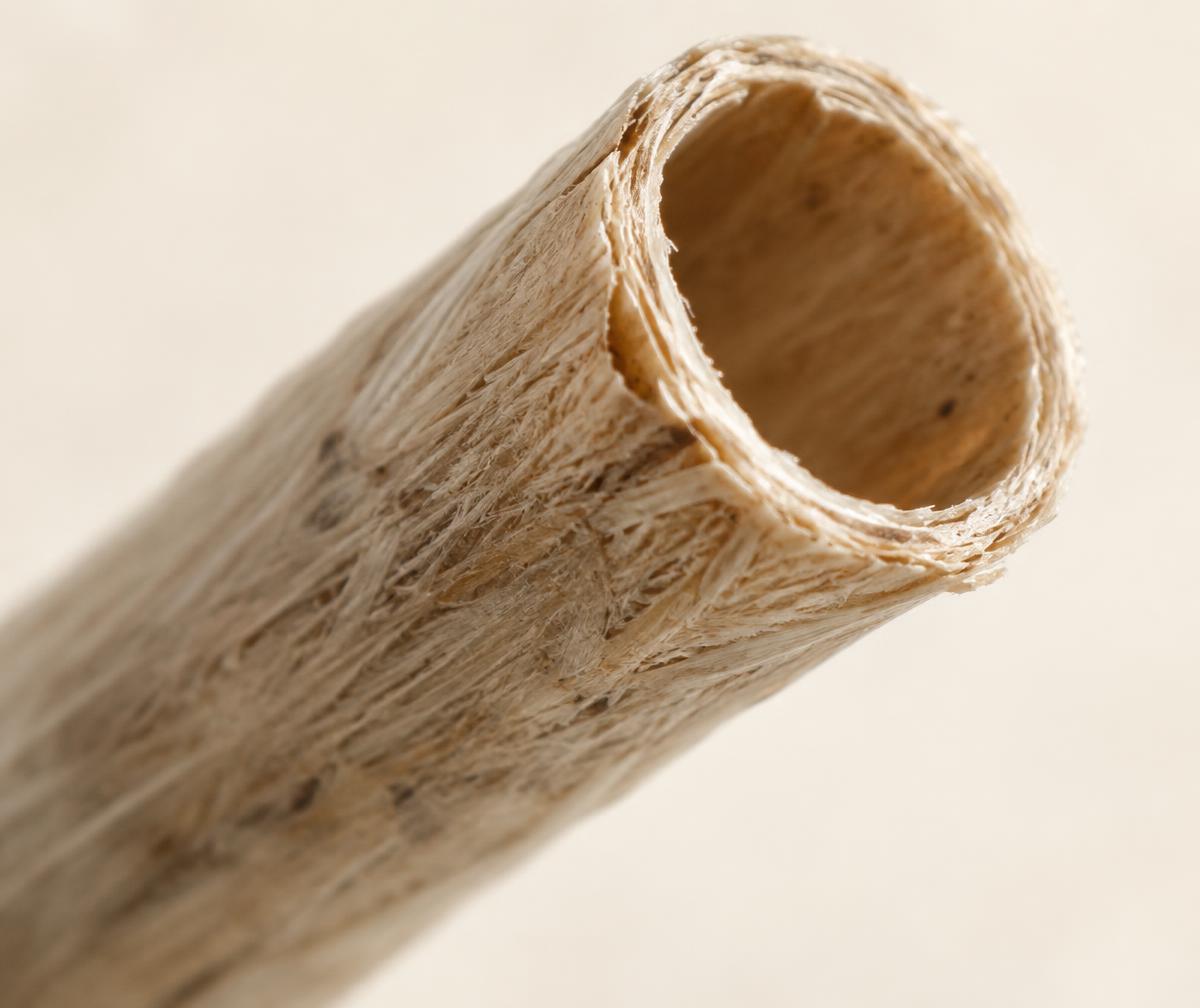 Macro view of the open end of a tea-fibre straw